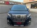 2018 Toyota Alphard G