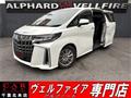 2019 Toyota Alphard G