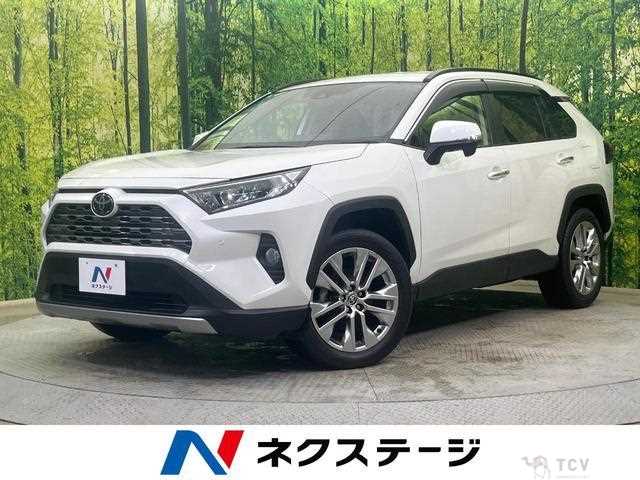 2020 Toyota RAV4