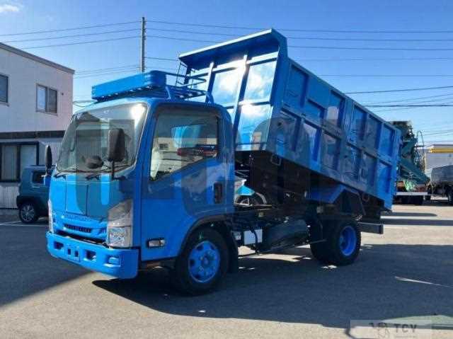 2017 Isuzu Elf Truck