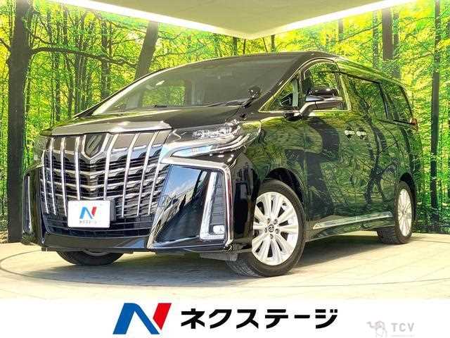 2019 Toyota Alphard G