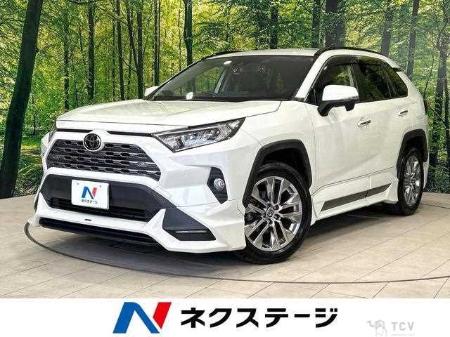 2020 Toyota RAV4