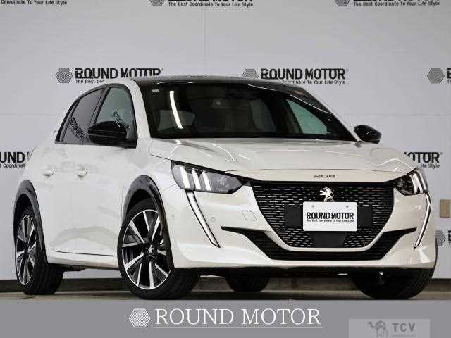 2020 Peugeot Peugoet Others