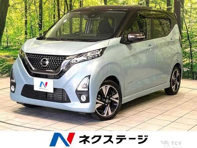 2019 Nissan Nissan Others