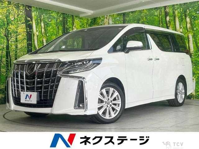 2019 Toyota Alphard G