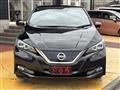 2019 Nissan Leaf