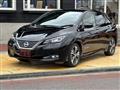2019 Nissan Leaf