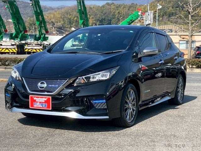 2020 Nissan Leaf