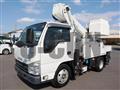 2011 Isuzu Elf Truck