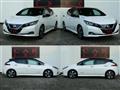 2019 Nissan Leaf