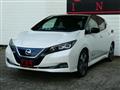 2019 Nissan Leaf