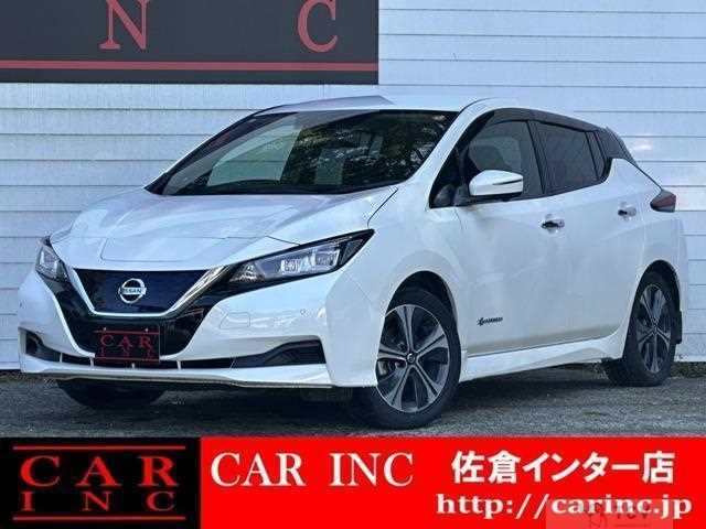 2021 Nissan Leaf