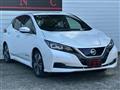 2021 Nissan Leaf