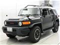 2013 Toyota FJ Cruiser