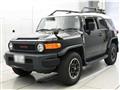 2013 Toyota FJ Cruiser