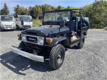 1980 Toyota Land Cruiser