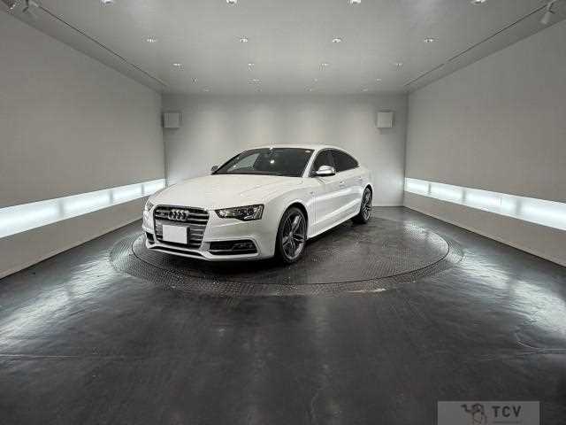 2015 Audi S5