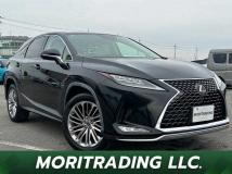 2020 Lexus RX