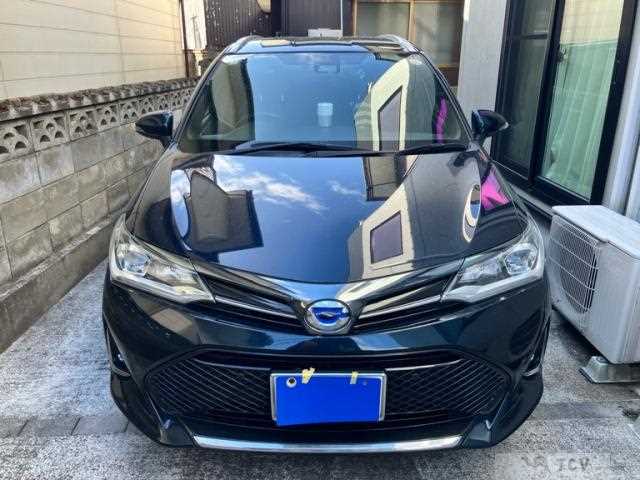 2019 Toyota Corolla Fielder