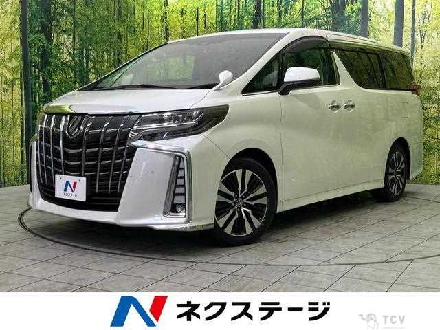 2019 Toyota Alphard G