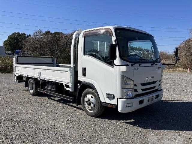 2019 Isuzu Elf Truck