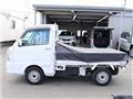2017 Suzuki Carry Truck
