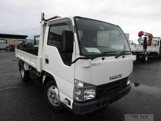2019 Isuzu Elf Truck