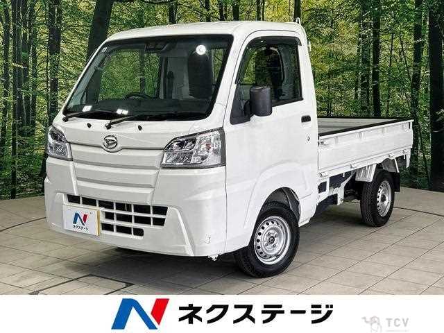 2020 Daihatsu Hijet Truck