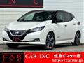 2019 Nissan Leaf