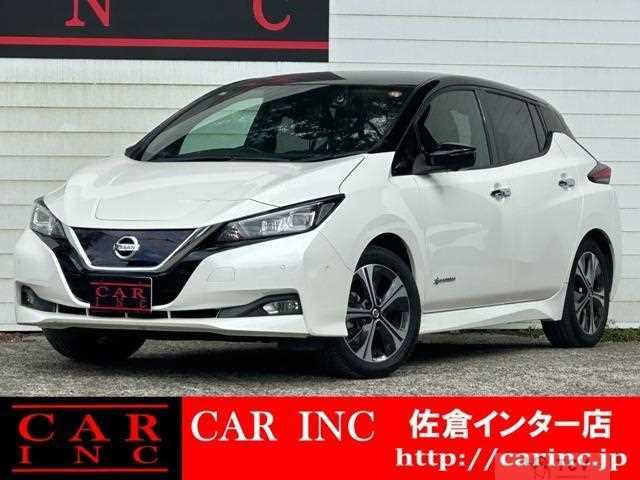 2019 Nissan Leaf