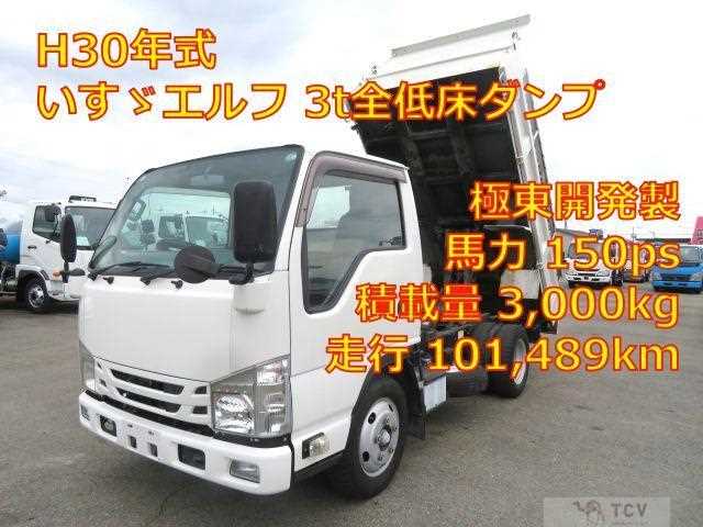 2018 Isuzu Elf Truck