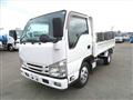 2018 Isuzu Elf Truck