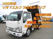 2018 Isuzu Elf Truck