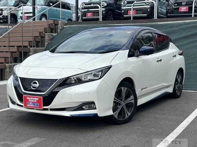 2018 Nissan Leaf