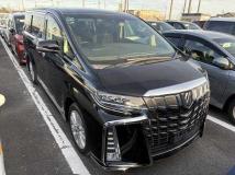 2020 Toyota Alphard G