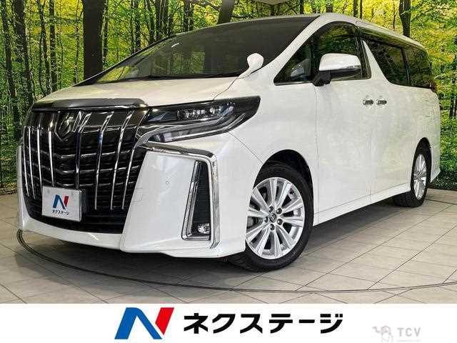 2019 Toyota Alphard G