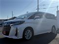 2020 Toyota Alphard G
