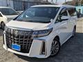 2022 Toyota Alphard G