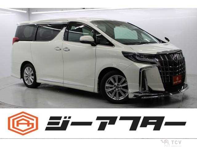 2019 Toyota Alphard G