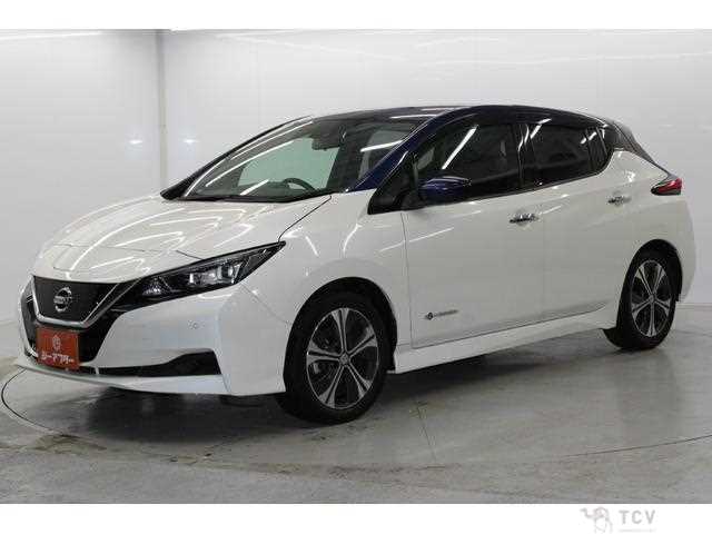 2017 Nissan Leaf