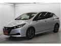 2021 Nissan Leaf