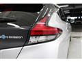 2021 Nissan Leaf