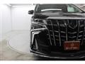 2020 Toyota Alphard G