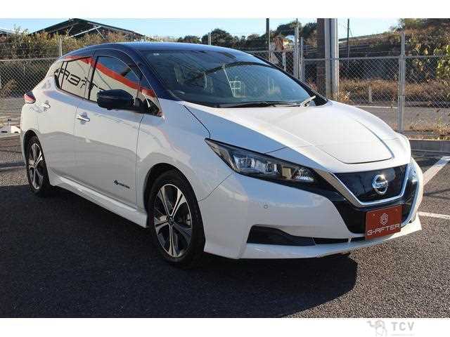 2020 Nissan Leaf