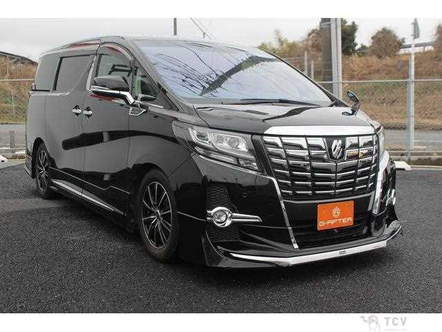 2016 Toyota Alphard G