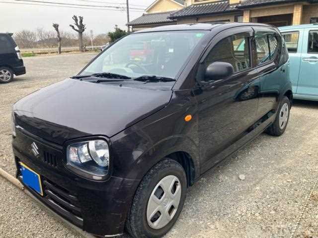 2019 Suzuki Alto