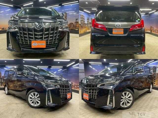 2019 Toyota Alphard G