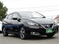 2019 Nissan Leaf