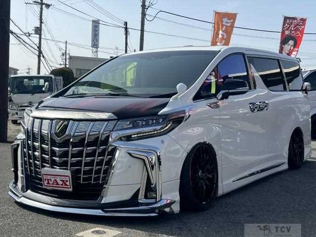 2019 Toyota Alphard G