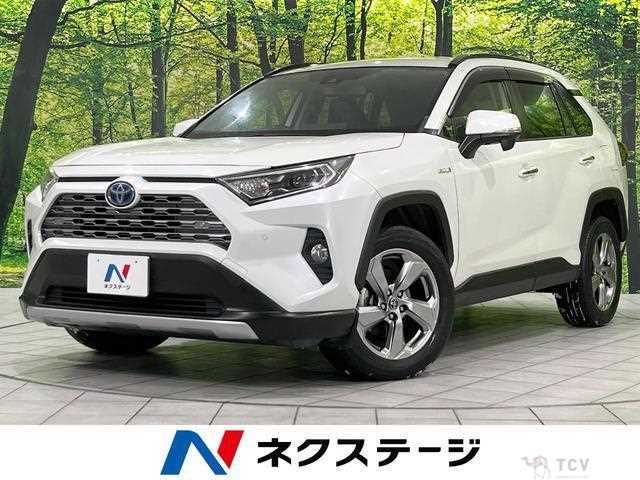 2019 Toyota RAV4